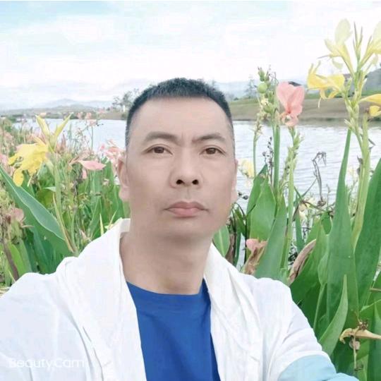 叶国波录像投影