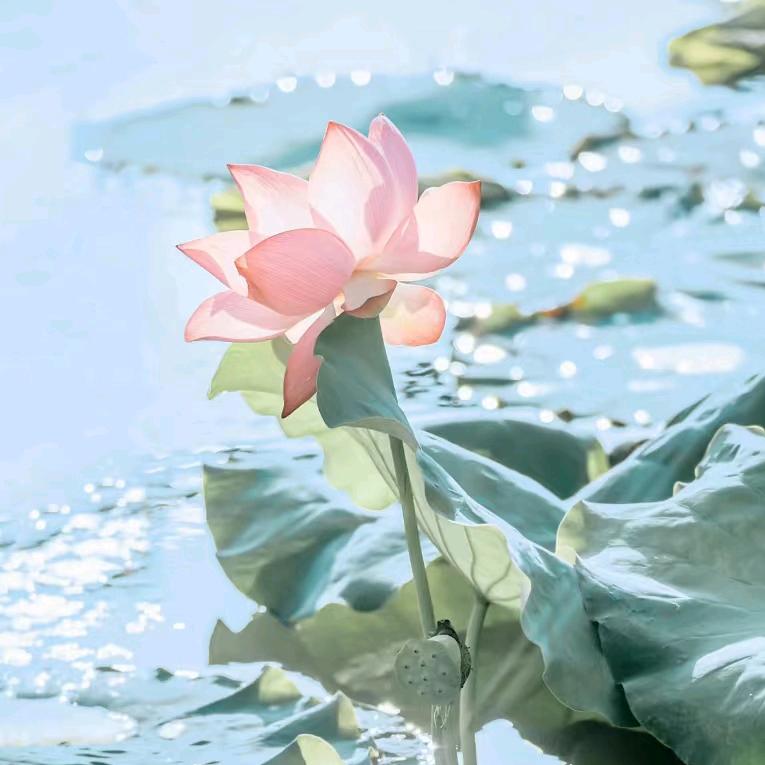 早晨的一缕阳光