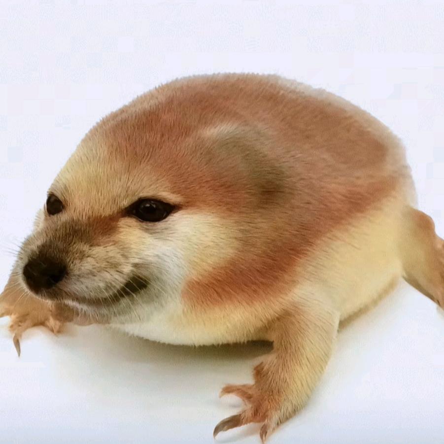 恋心無意（和平精英）