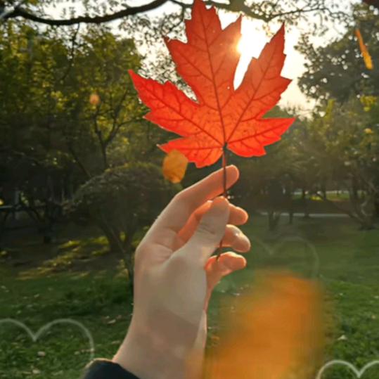 朱儿🏃🏃爱上曳步舞🚗🚗