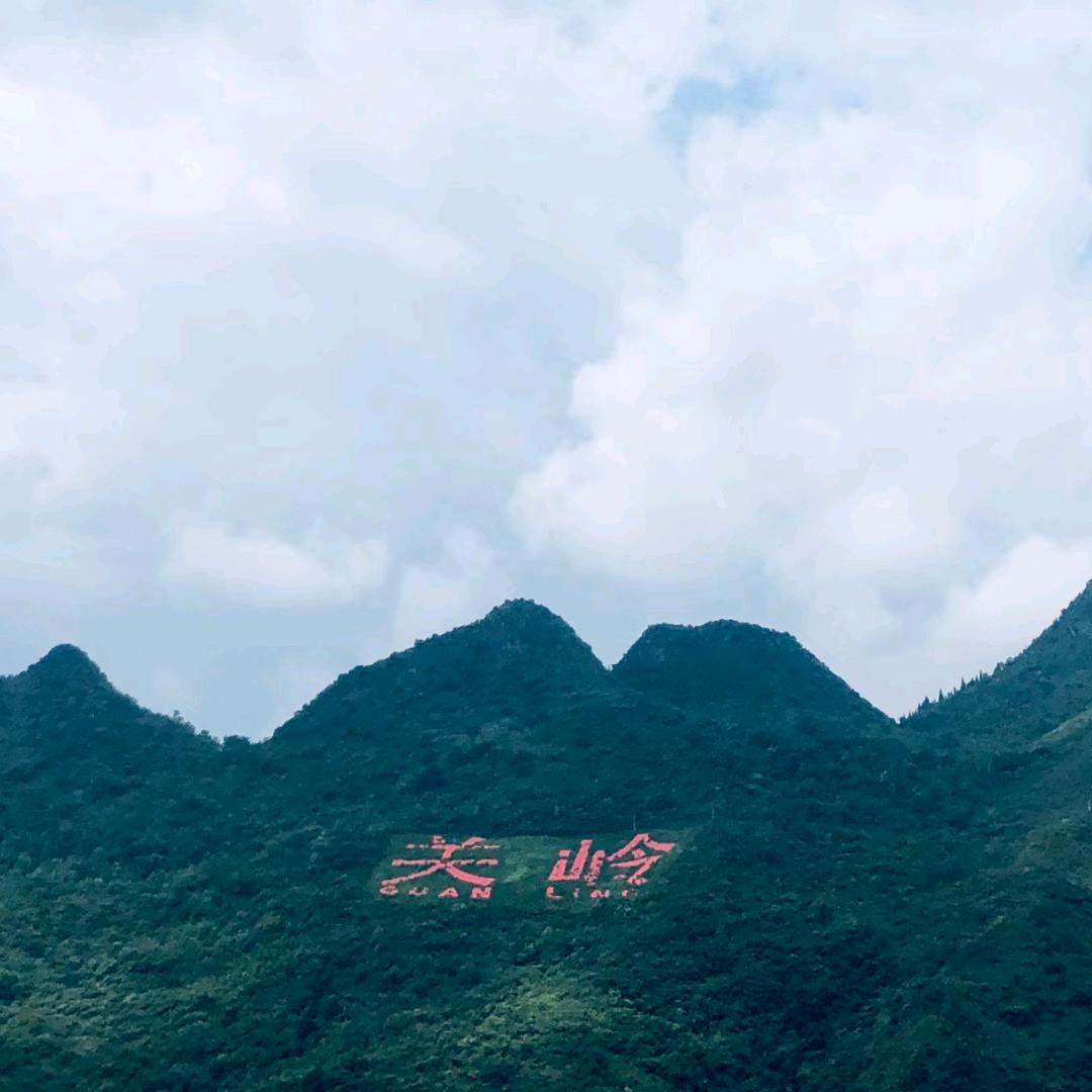 🐏先生