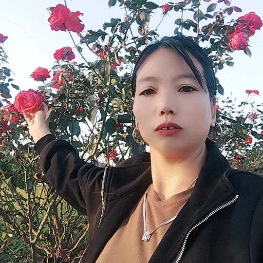 痛苦一生（董）