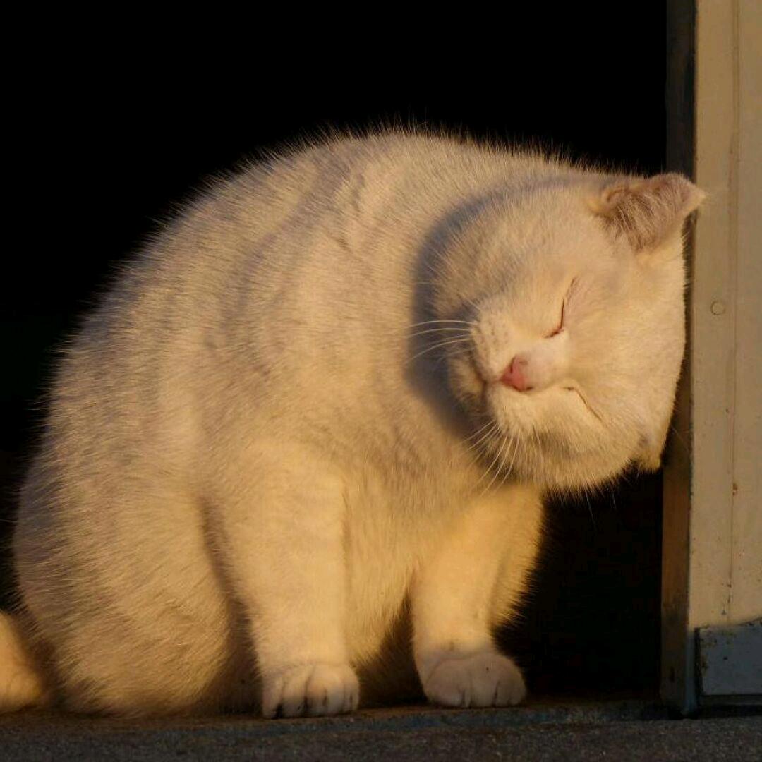 “卖文具养活你”