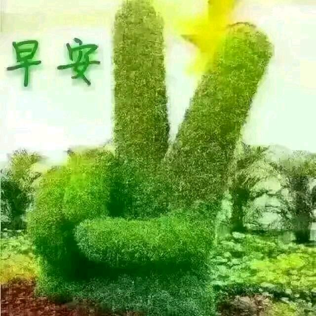 相信未来