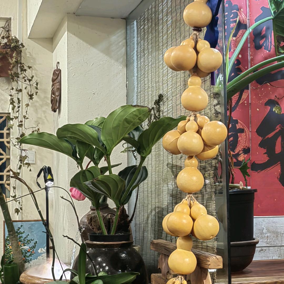 金色潭的刘元季头像