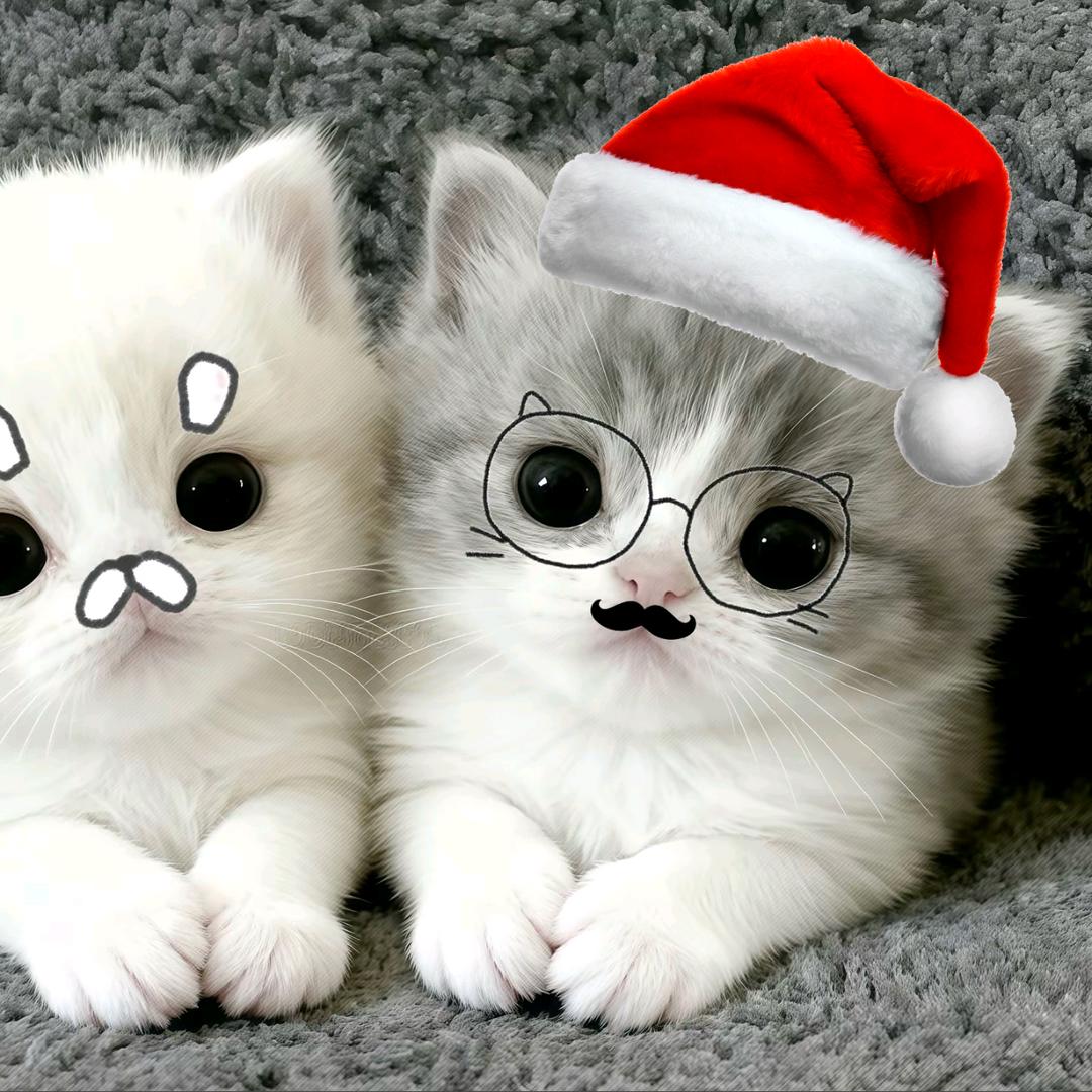 霸道总裁爱上绝经的我