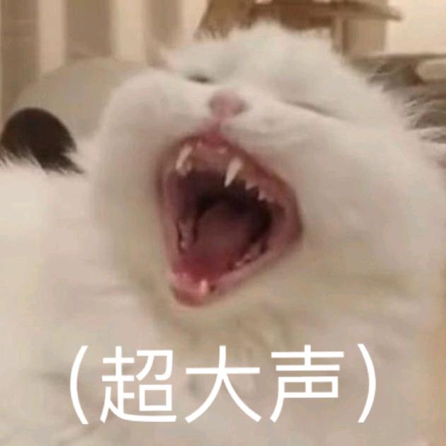 ( ͜.人 ͜.) ( ͜.人 ͜.)