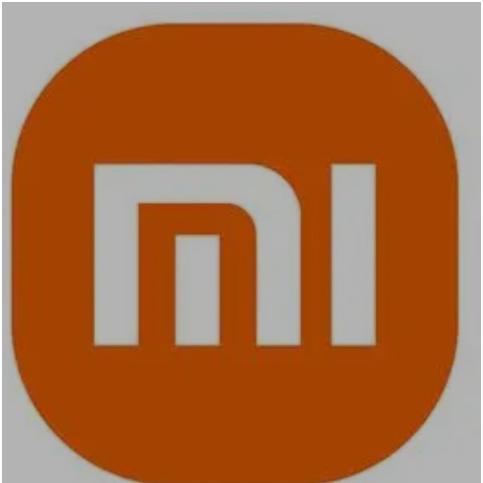 西安未央区大融城小米汽车融合店