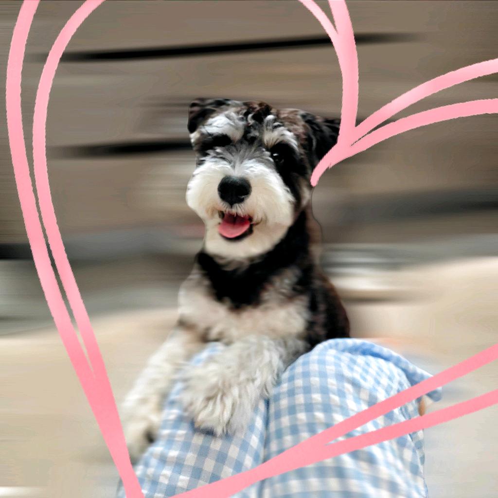 Doki屿落（好物分享）