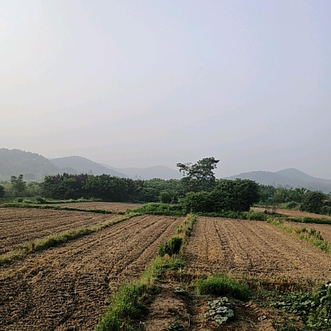梦想有你