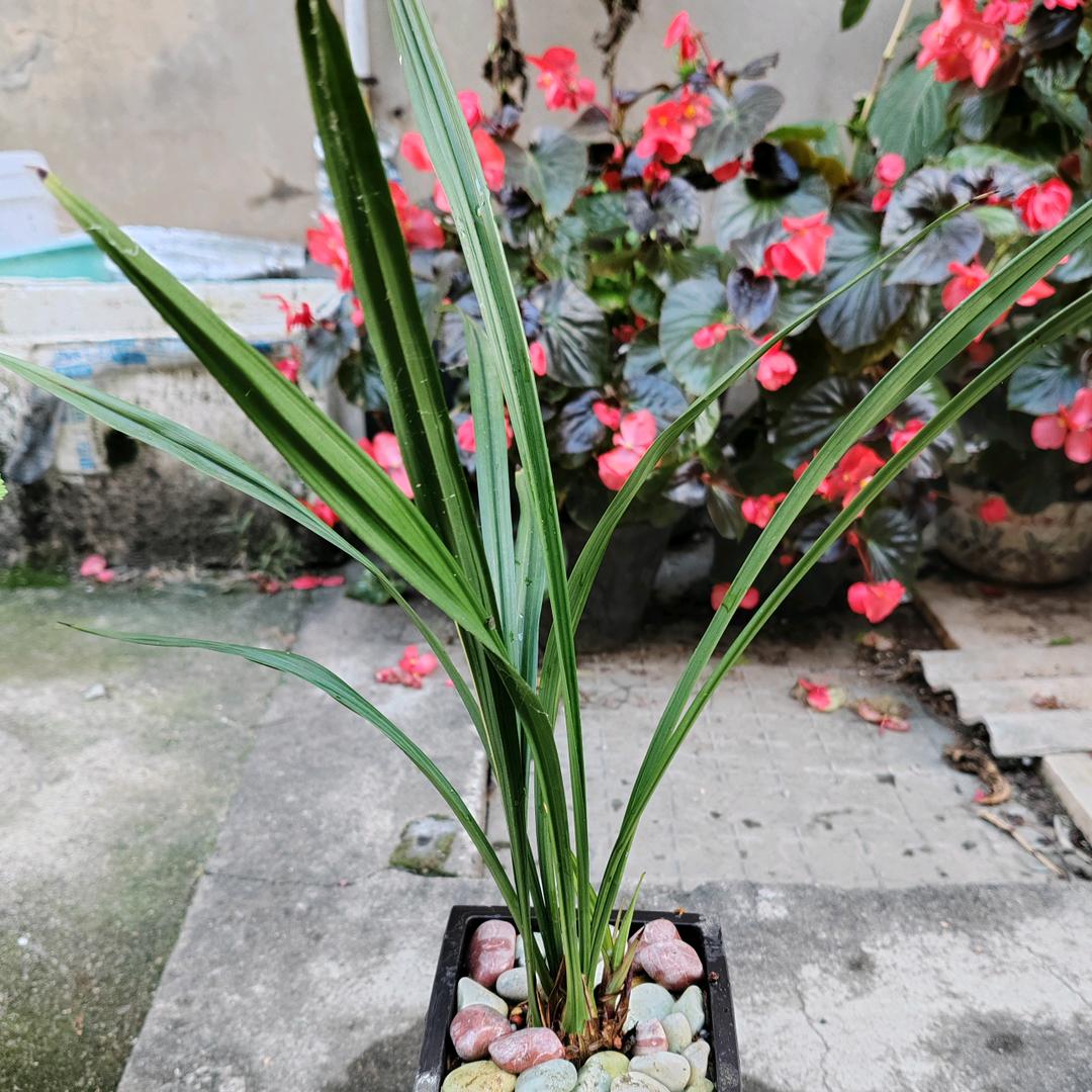 是我是我还是我~~~