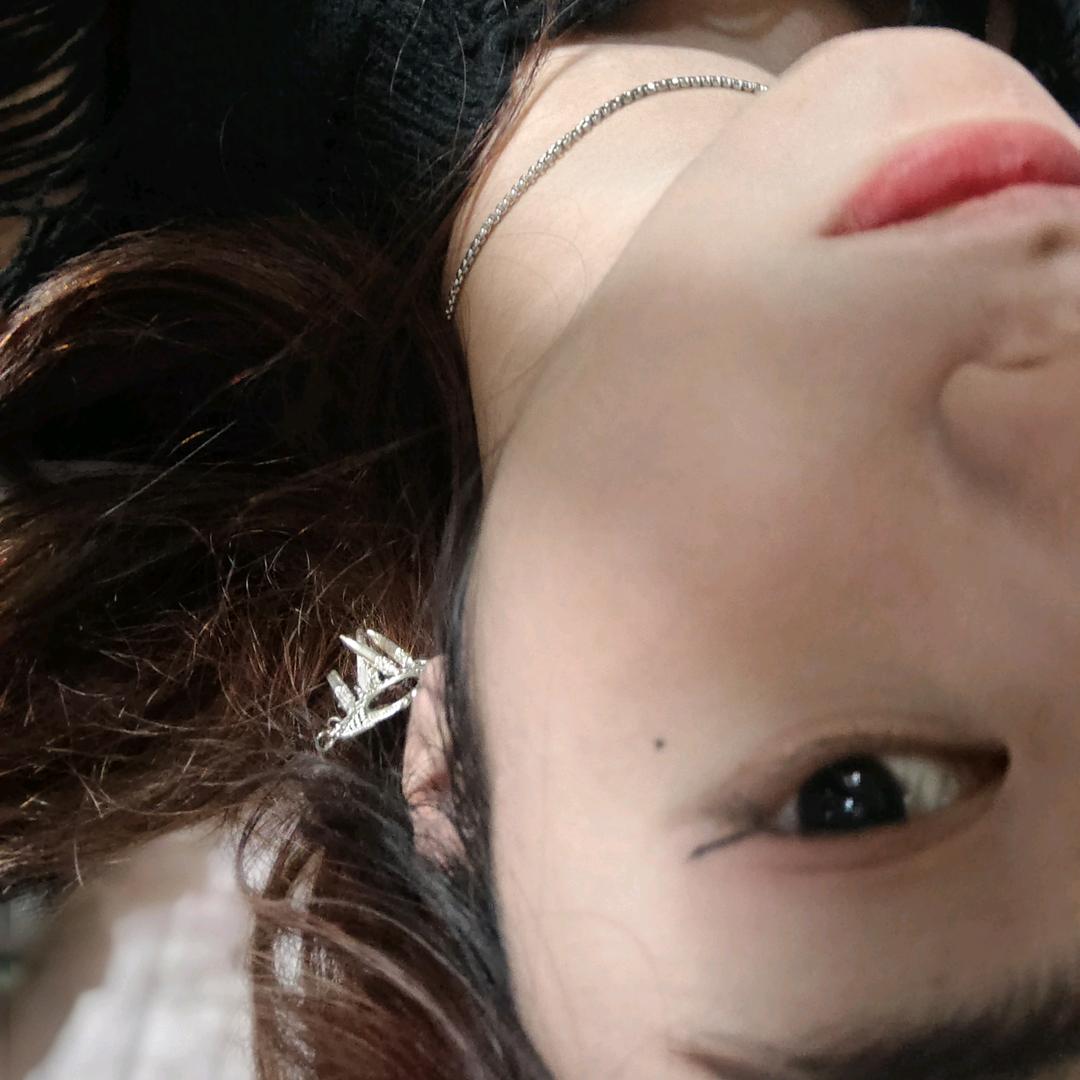 槲寄生下