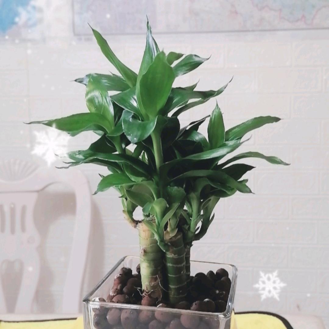 刑法故事会