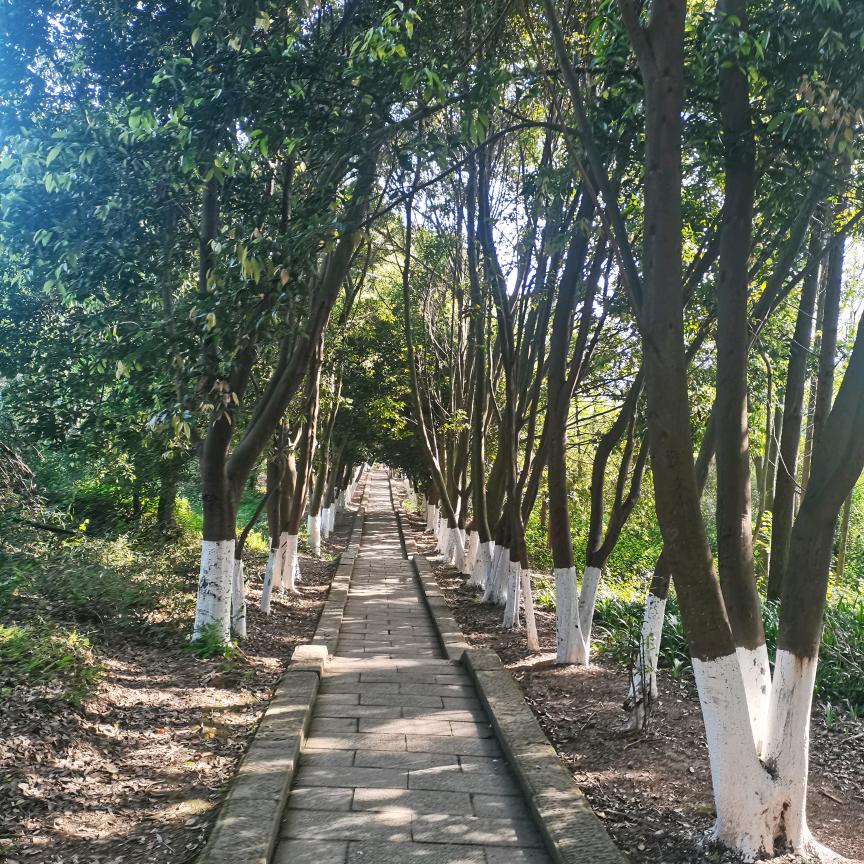 美丽从这里开始