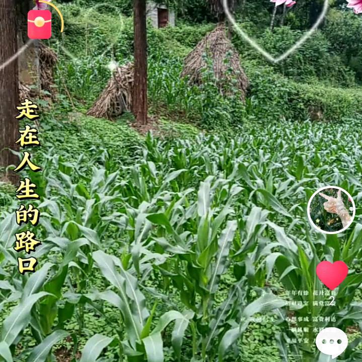 承蒙厚爱《小彭妹》