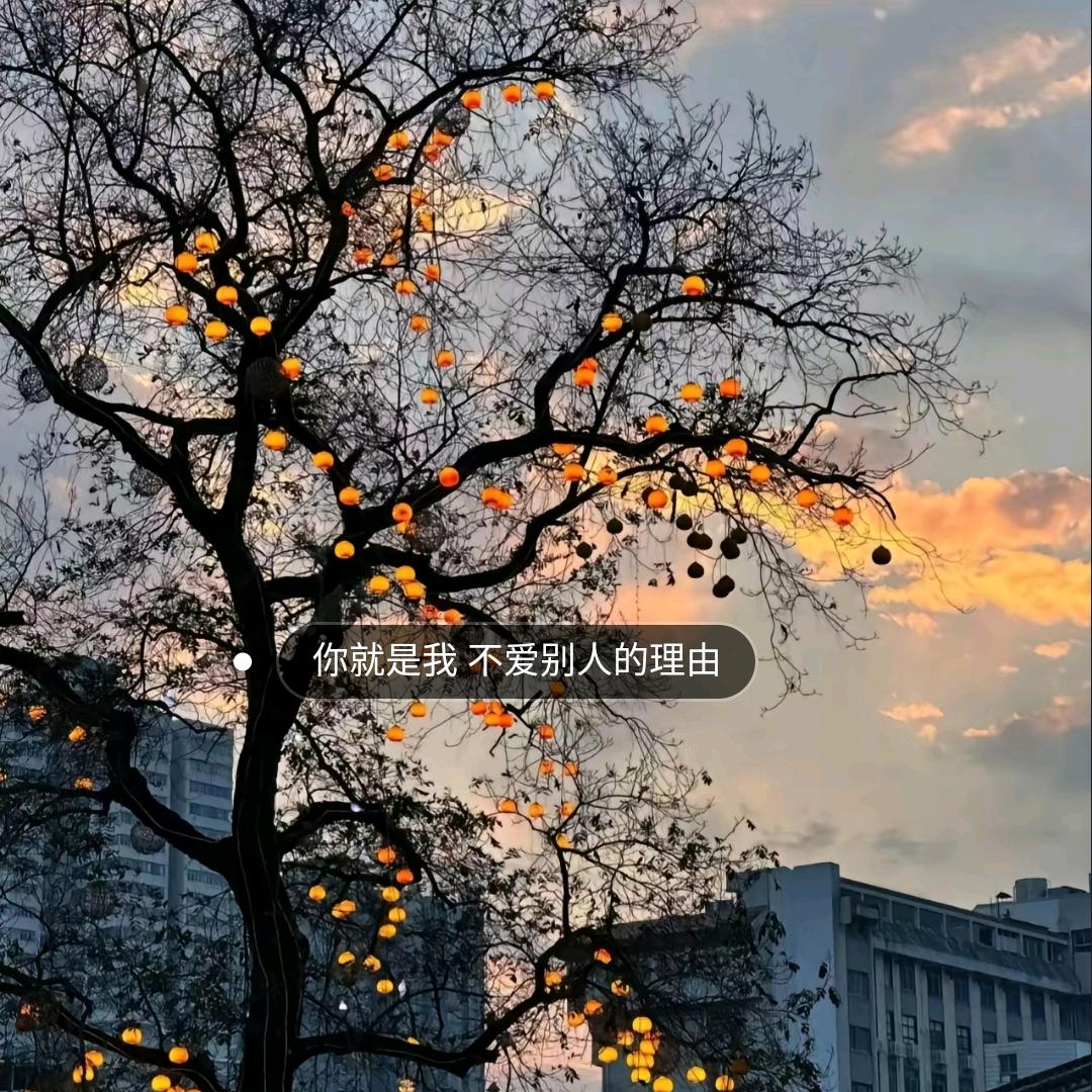 花之霖k歌沐足