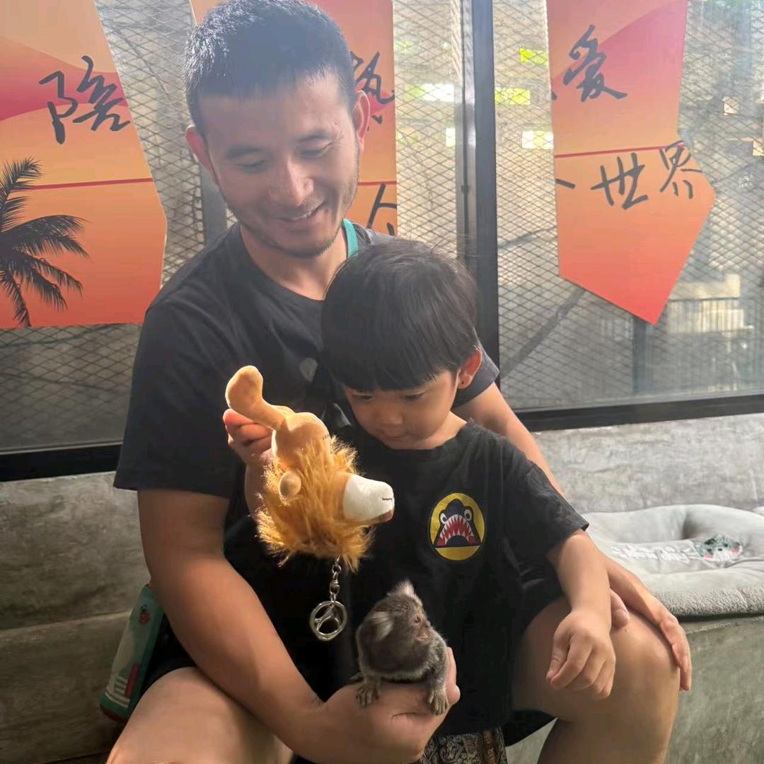 潇爸来了