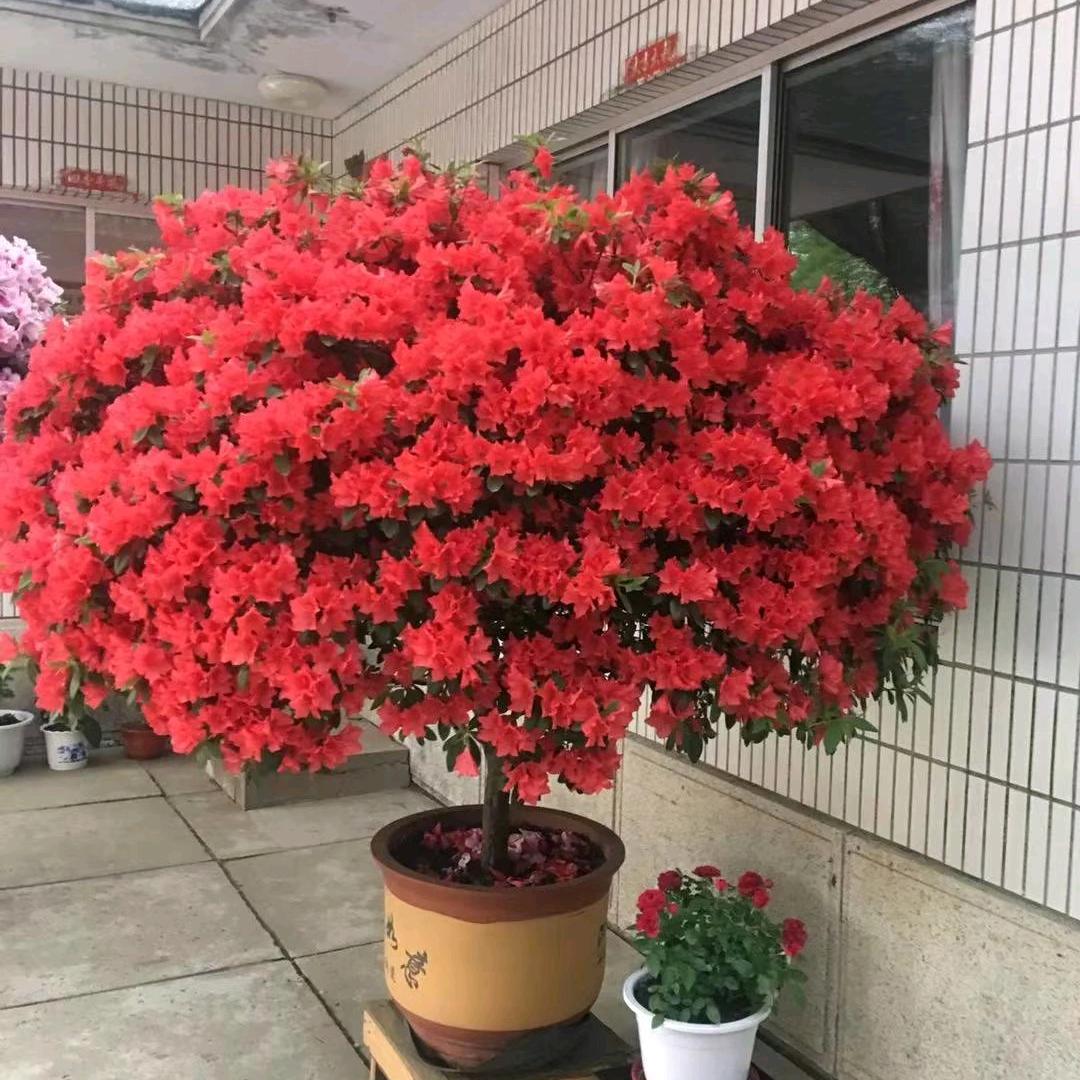 开心快乐每一天