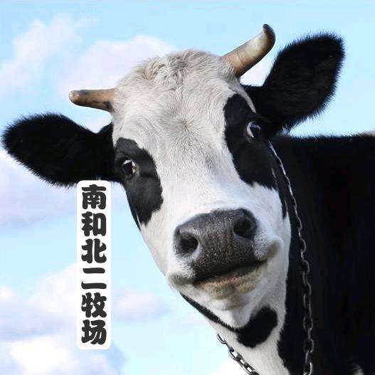 环环巴氏鲜奶（自己牧场0添加）