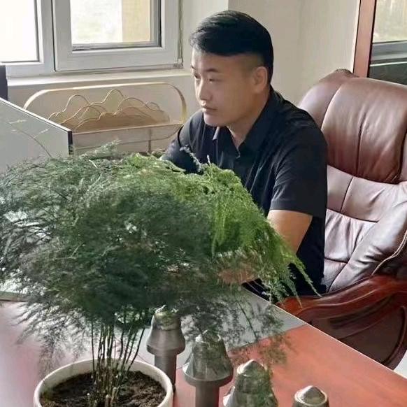 新德耐科硬岩截齿