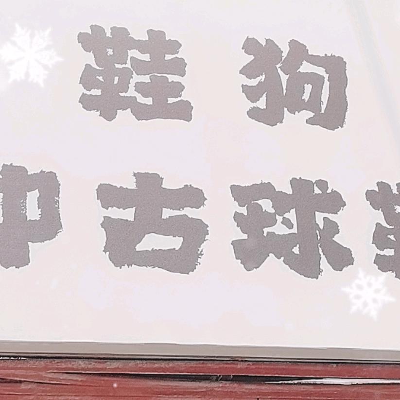 荆州鞋狗中古球鞋（回收）