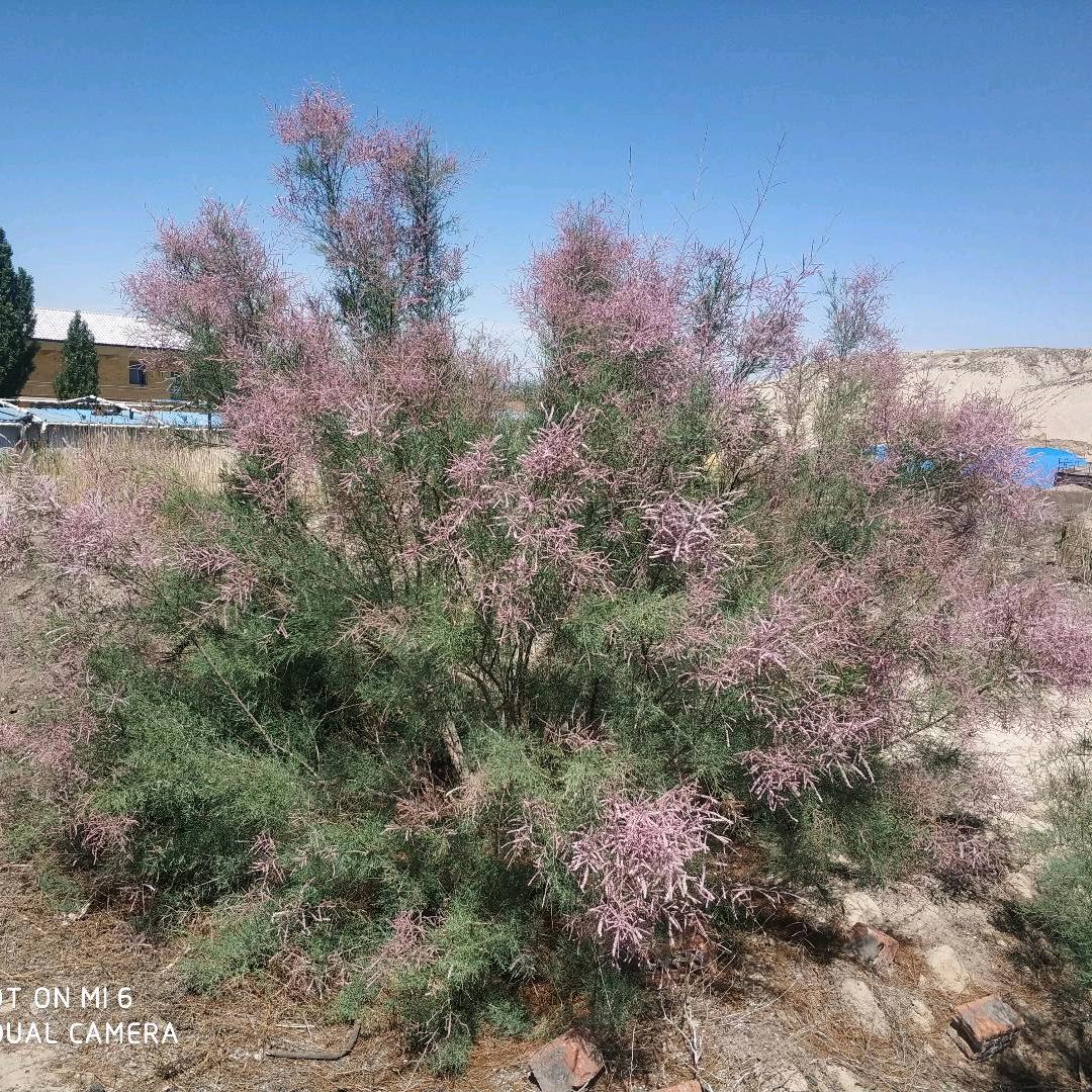 DOECH机电工程