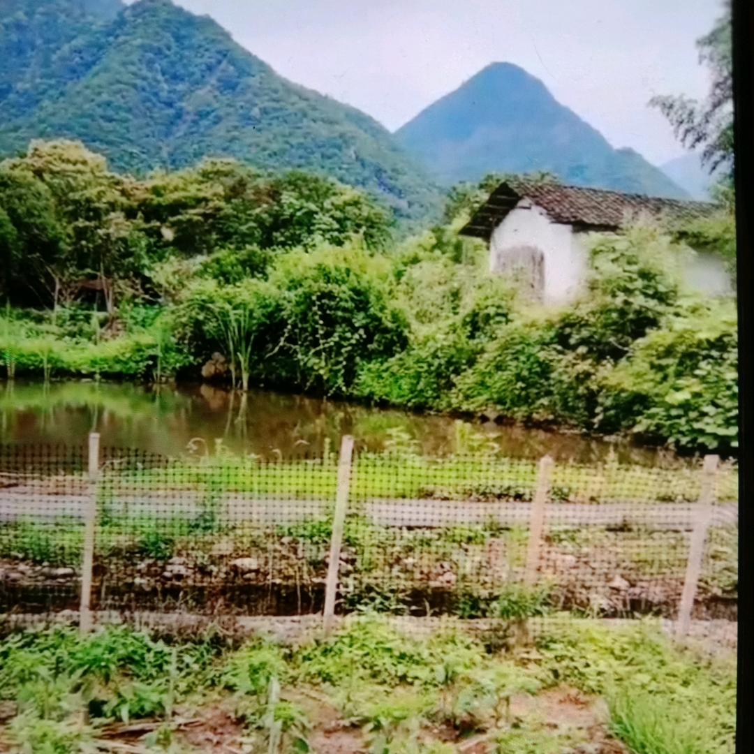糊涂妈