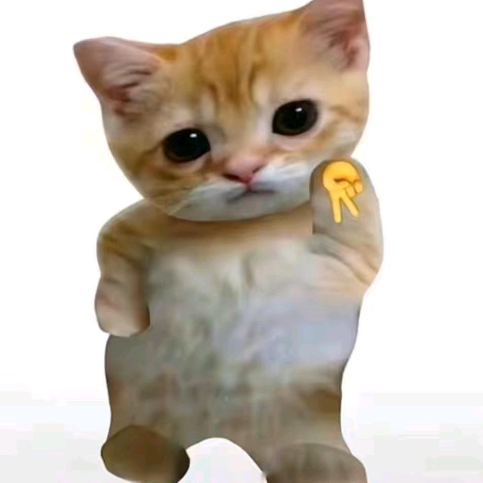 宇宙无敌娃娃丢大王