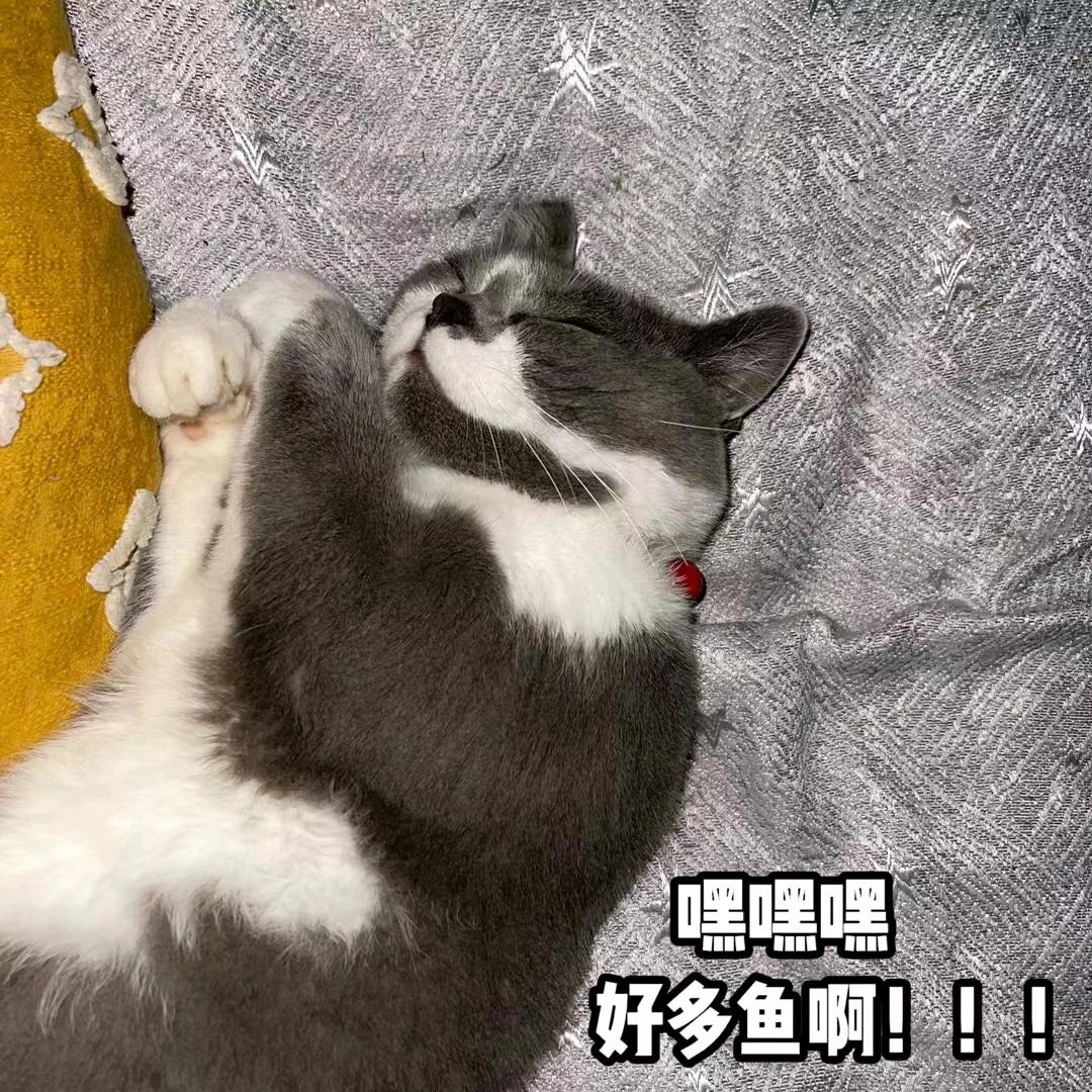 周同学