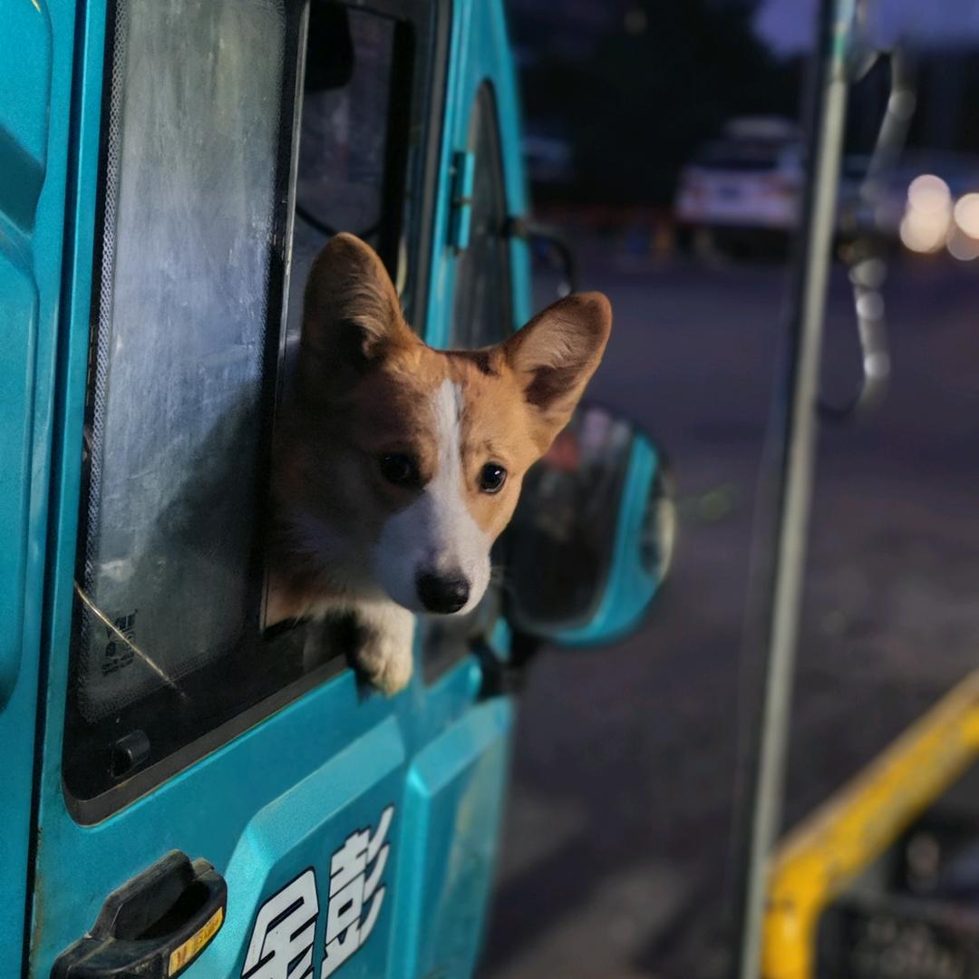 泰景城北门王丽鲜肉店