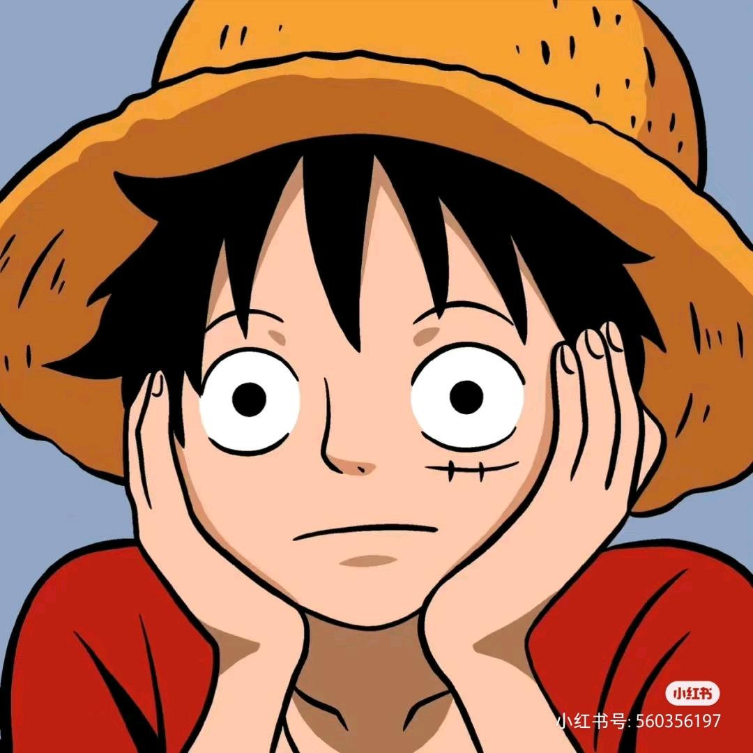 大恒D