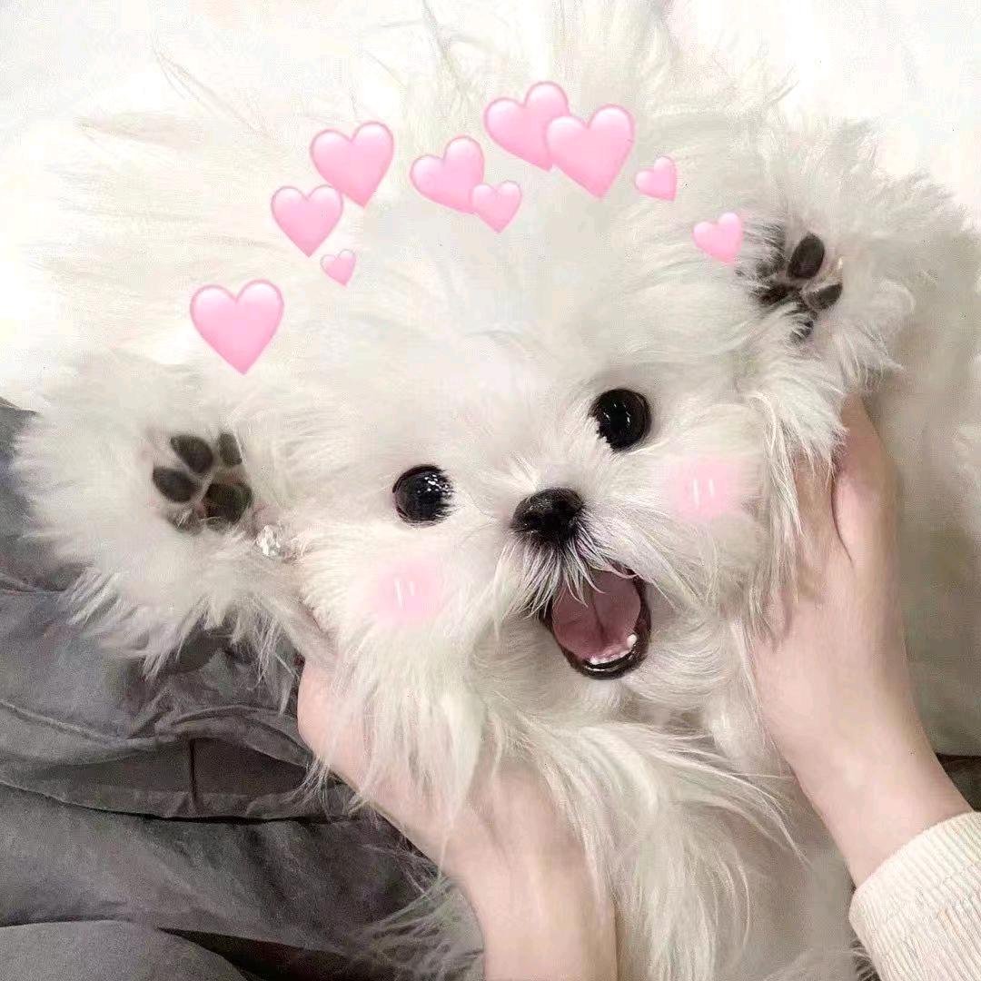 晚风轻拂穿搭间