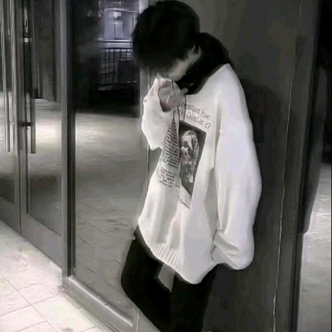 ^無🩰^(努力学习版)(景皓同程🤩)