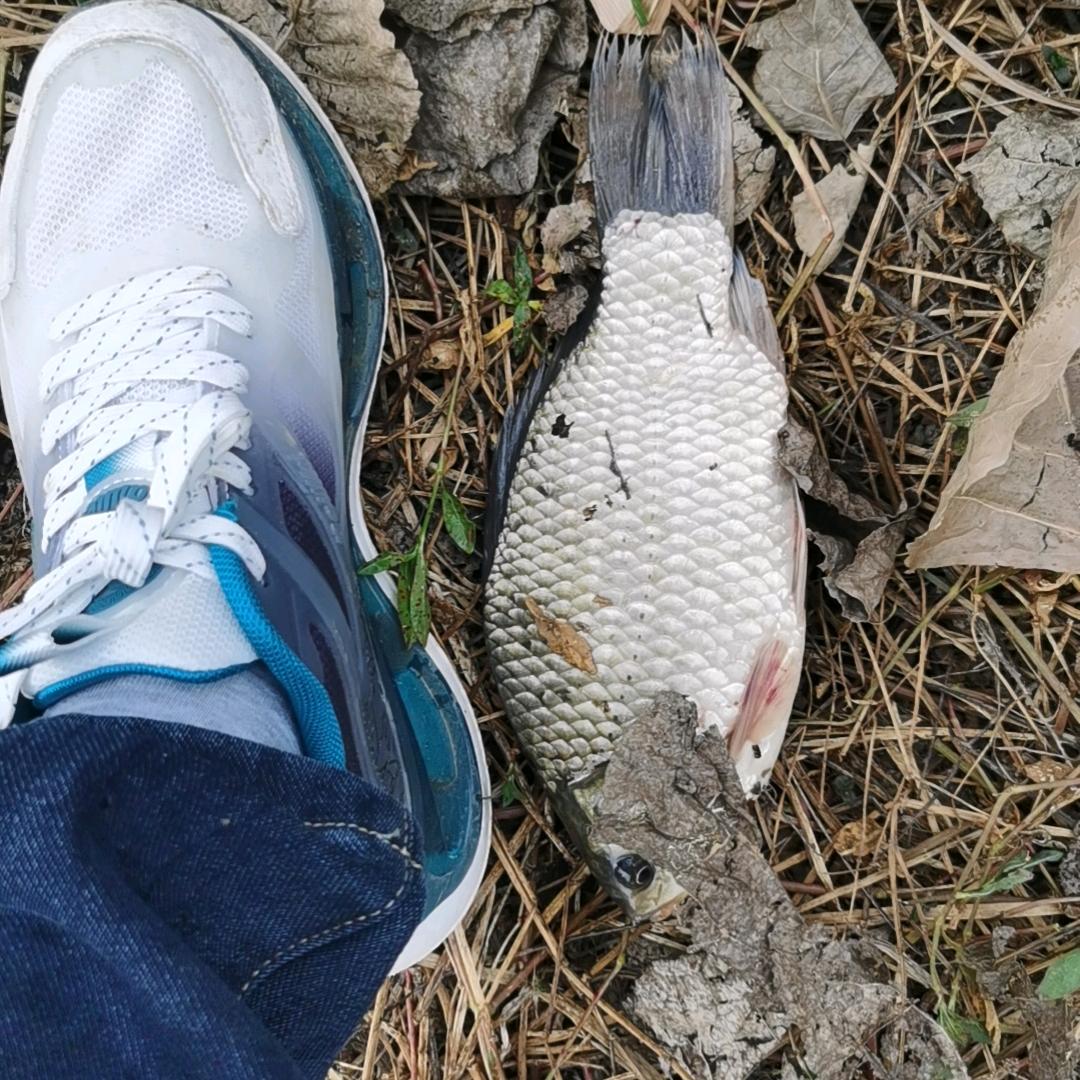 唐僧爱洗头