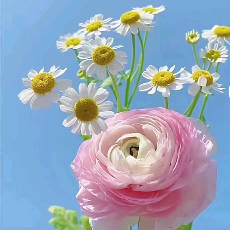 ᭄💞ꦿ余ᩚ᭄࿐生随໊🕊心🦋٭ꦿ