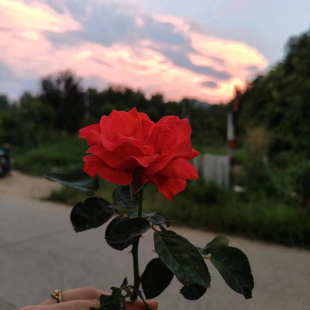 自行自醒自清欢