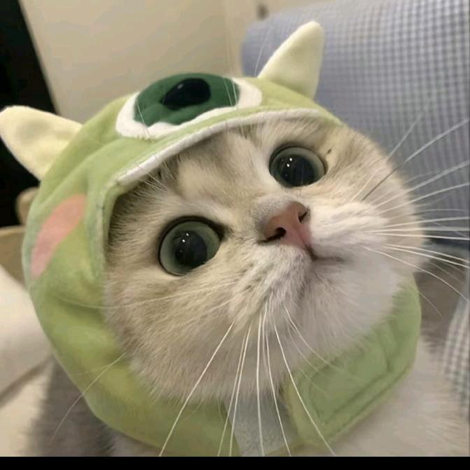 不负少年头