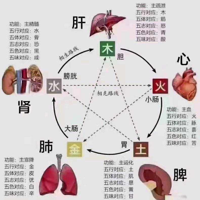 衡水桃城红娘李姐