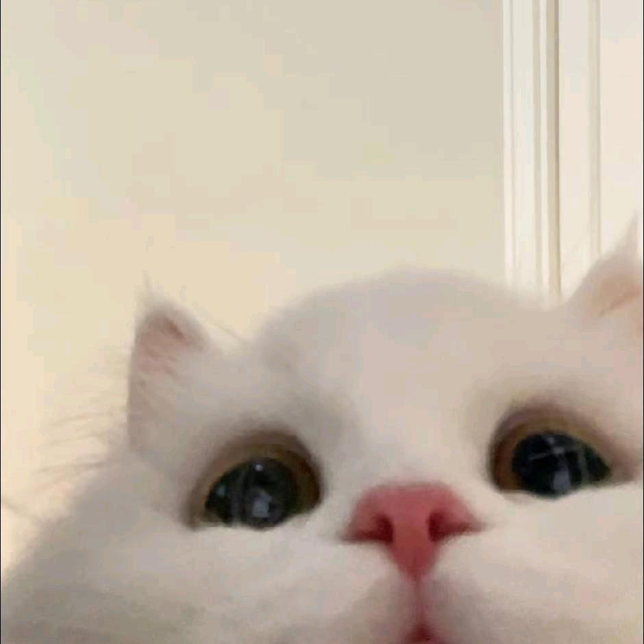 无人知晓的我