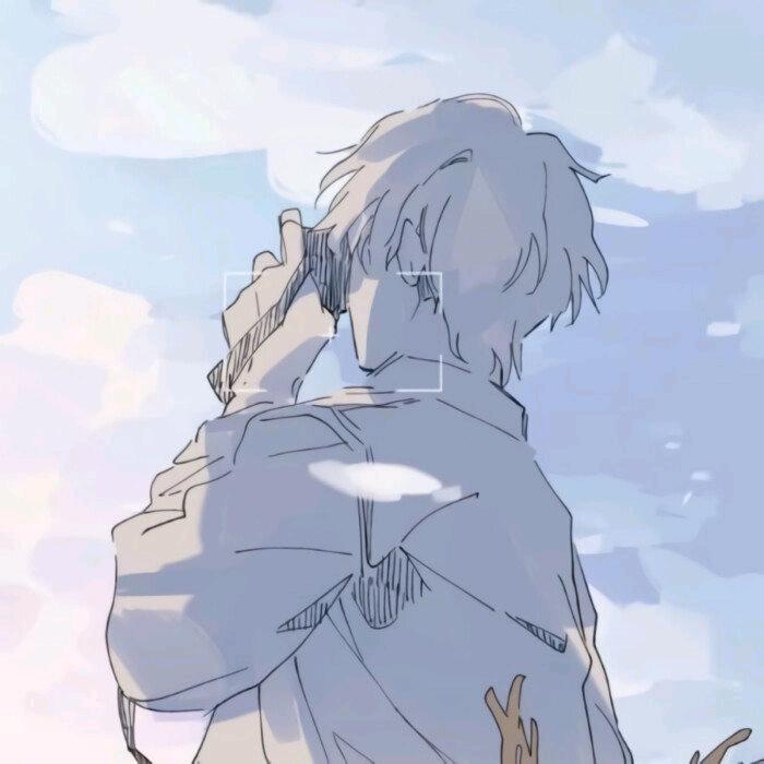艾黎木