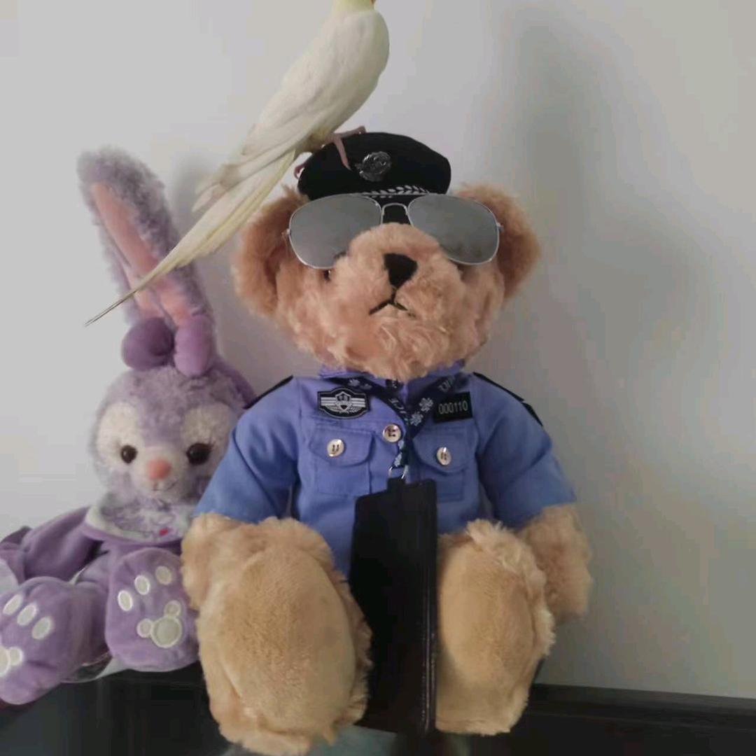 🐰