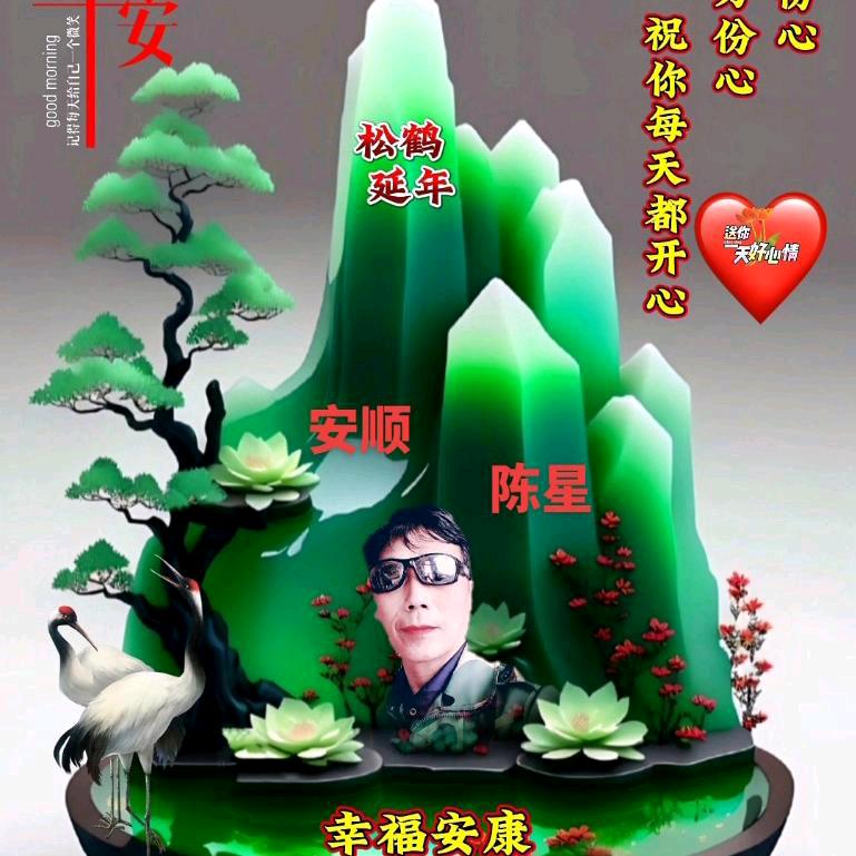 安顺陈星