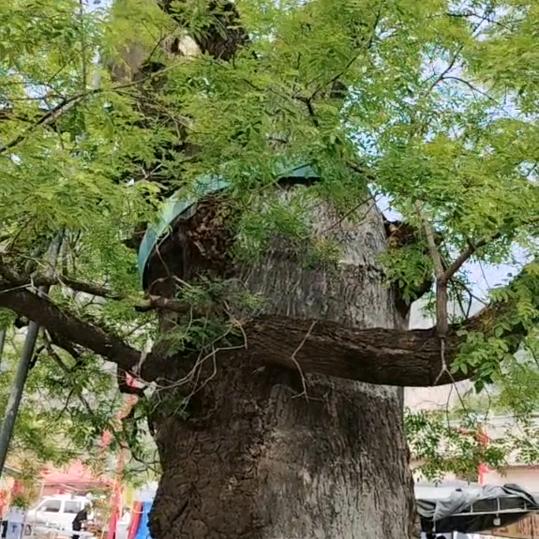 韦小宝。