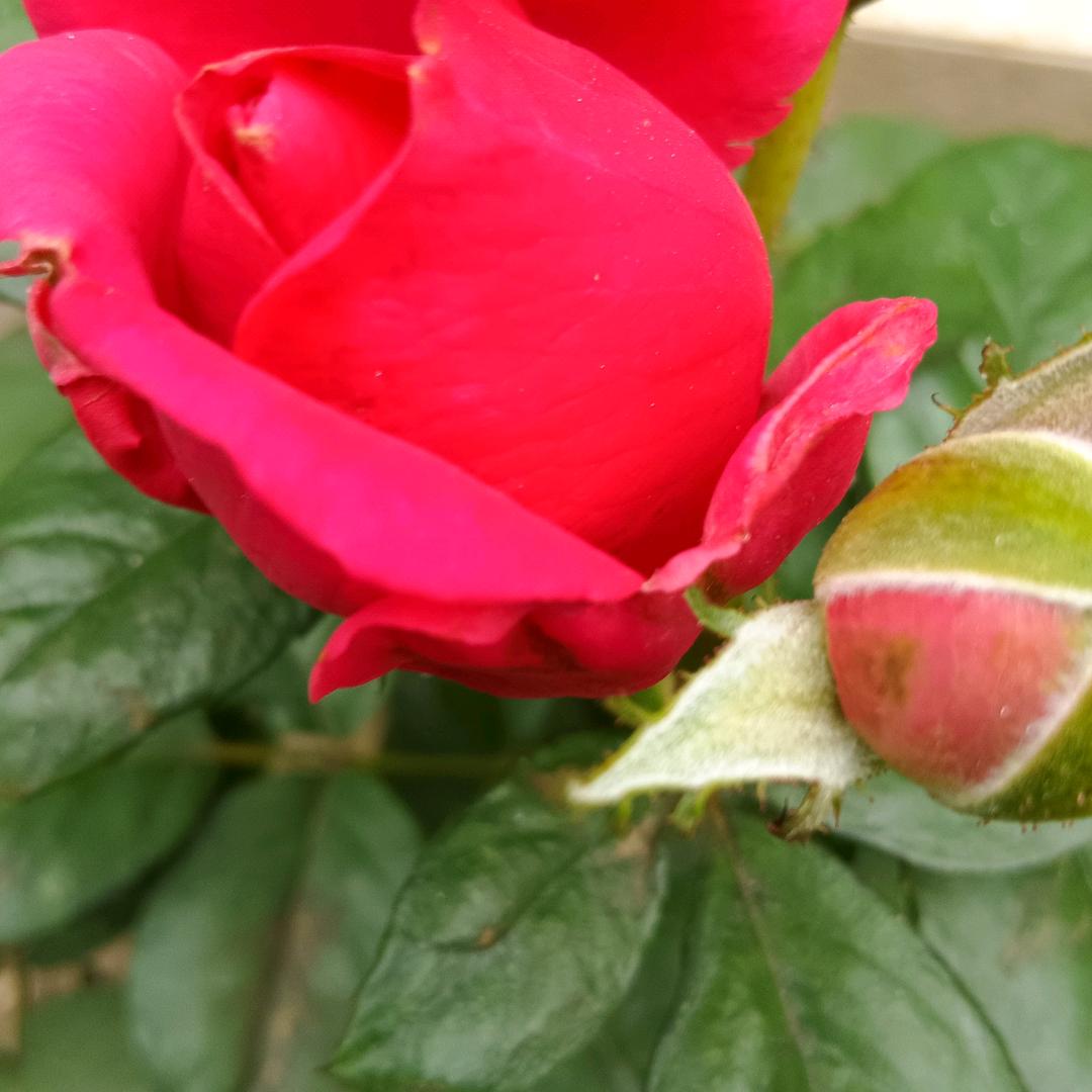 铁佛镇通达北街