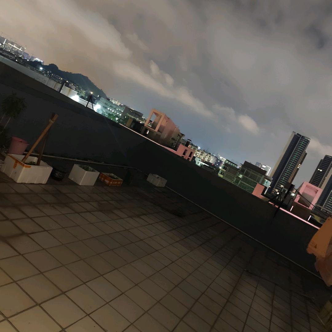 白天不懂夜的黑