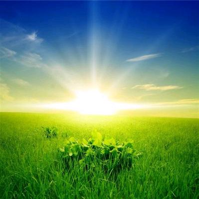 团战可以输，卤蛋必须死😏