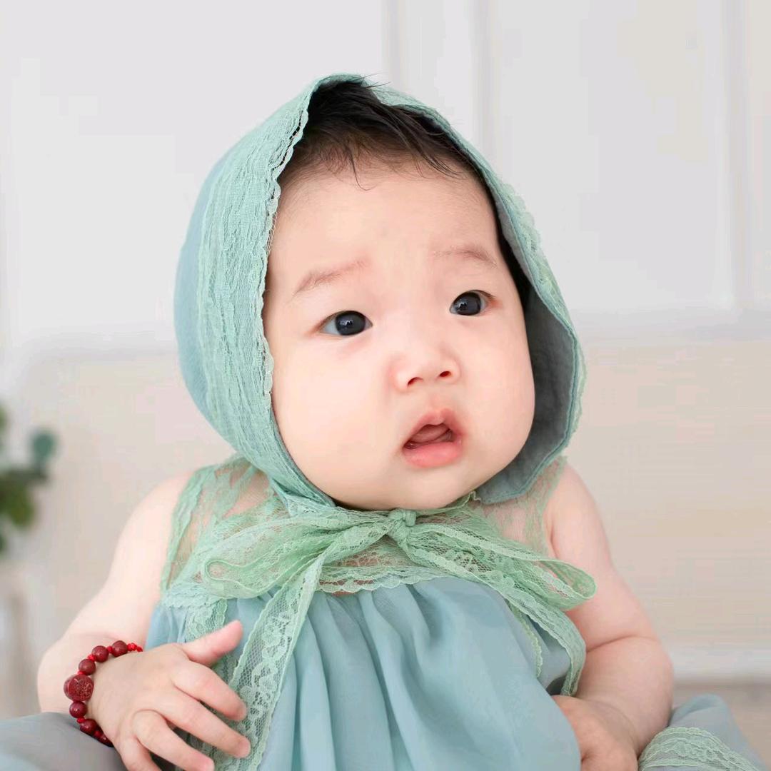 *杨树的杨🧸
