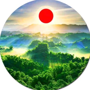 书香小生