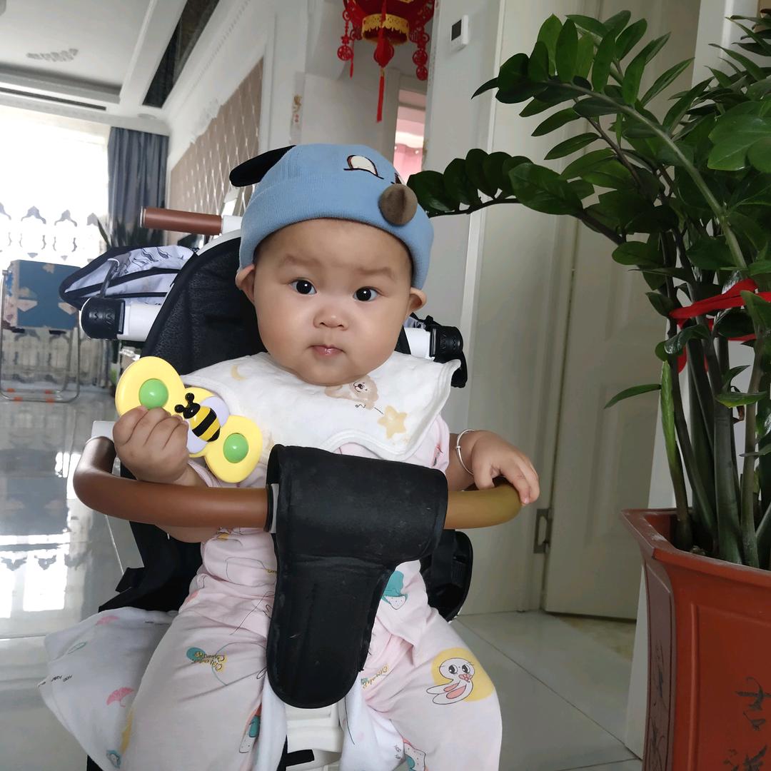小诺铭 记录生活