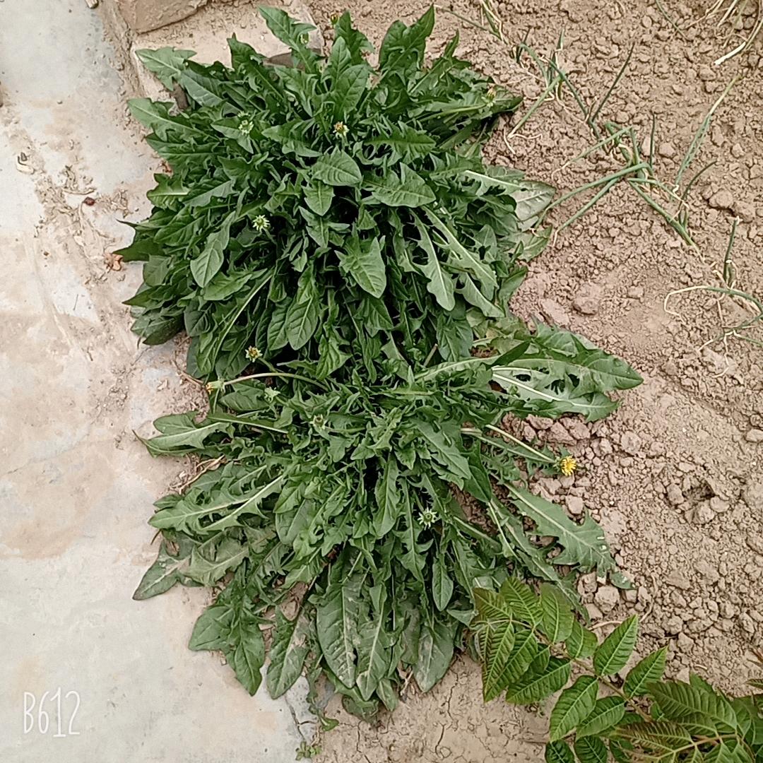 用户3655578691021